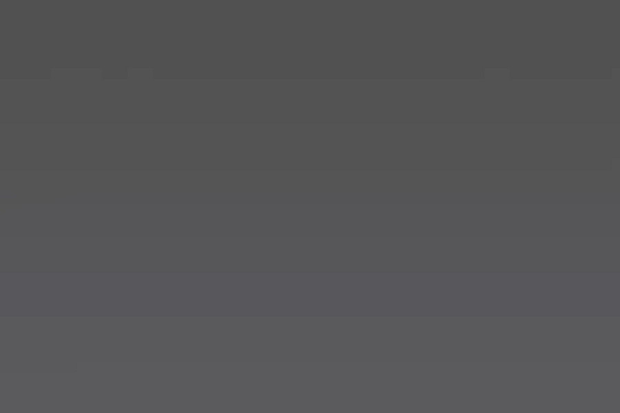 66d0ab6b4350ac26883beda152d469e7b5f6adae_7462_antracyt_charcoal