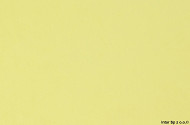892eb26d30740dd30ba5ee8202aa11c829ca1db4_Color_5519_BS_Trawa_Cytrynowa_3