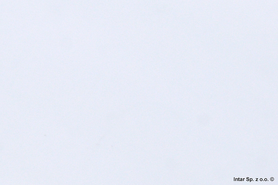 1e736fa424898e19151a0df83a8f331b3d349990_201BR_3