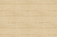 a8d0c02eb5acafedfac413b5b139de009b65cc8c_0375