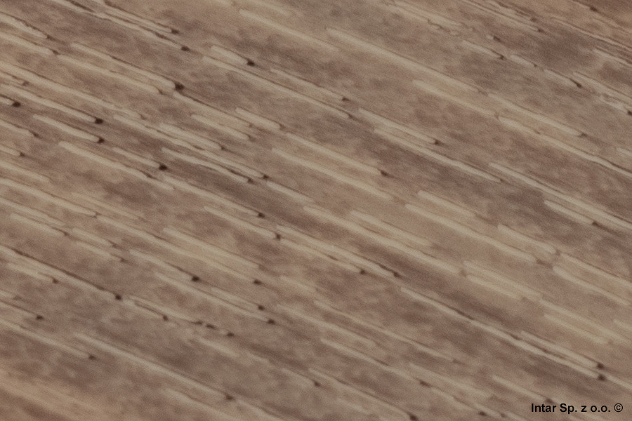 2d3baf5954de2286c6a20358df9e8eb3e15238bf_D8_5_3