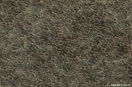 b652605e4161386c740672d86c5eb23ea2cceae0_426471_3
