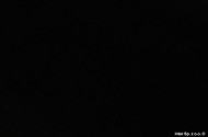 98bf9344b711cf83c01311c04e84e8a8a600aab6_3047W_3