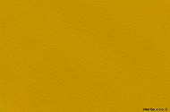 6a2f49992952ed33470fa4c1f15f729fd84af310_207_B_3