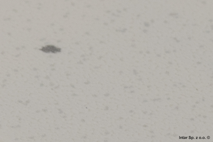 361e436bebf5e09df2dd201e4c562d4db730518b_1354W_3