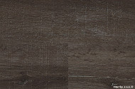 e5c561287275345289bd06340fc9050d2ad15b1d_DB00069_3